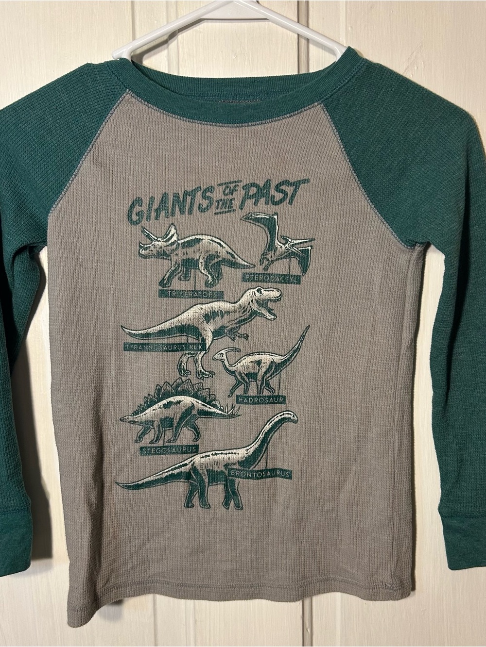 jumping beans Green and Gray Dinosaur Raglan Long-Sleeve Top